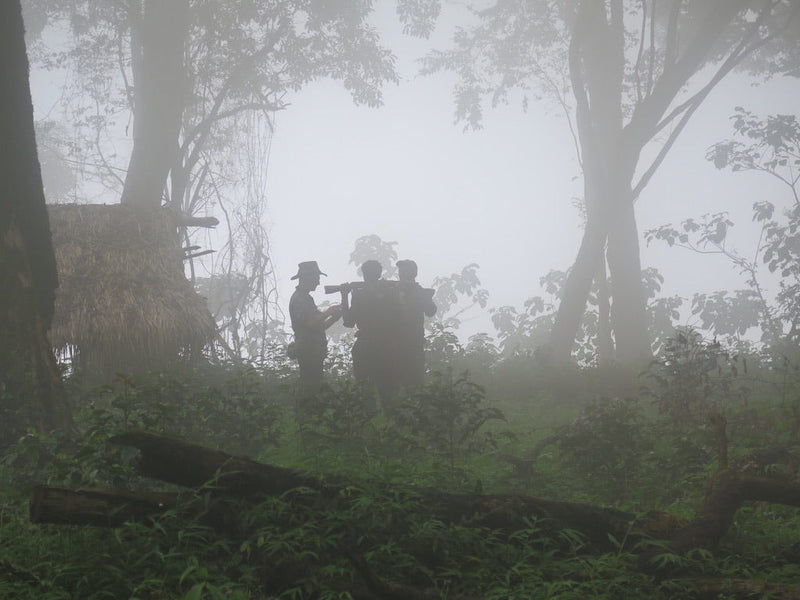 Discovering the Elegance of Geisha Coffee: A Mudhouse Story