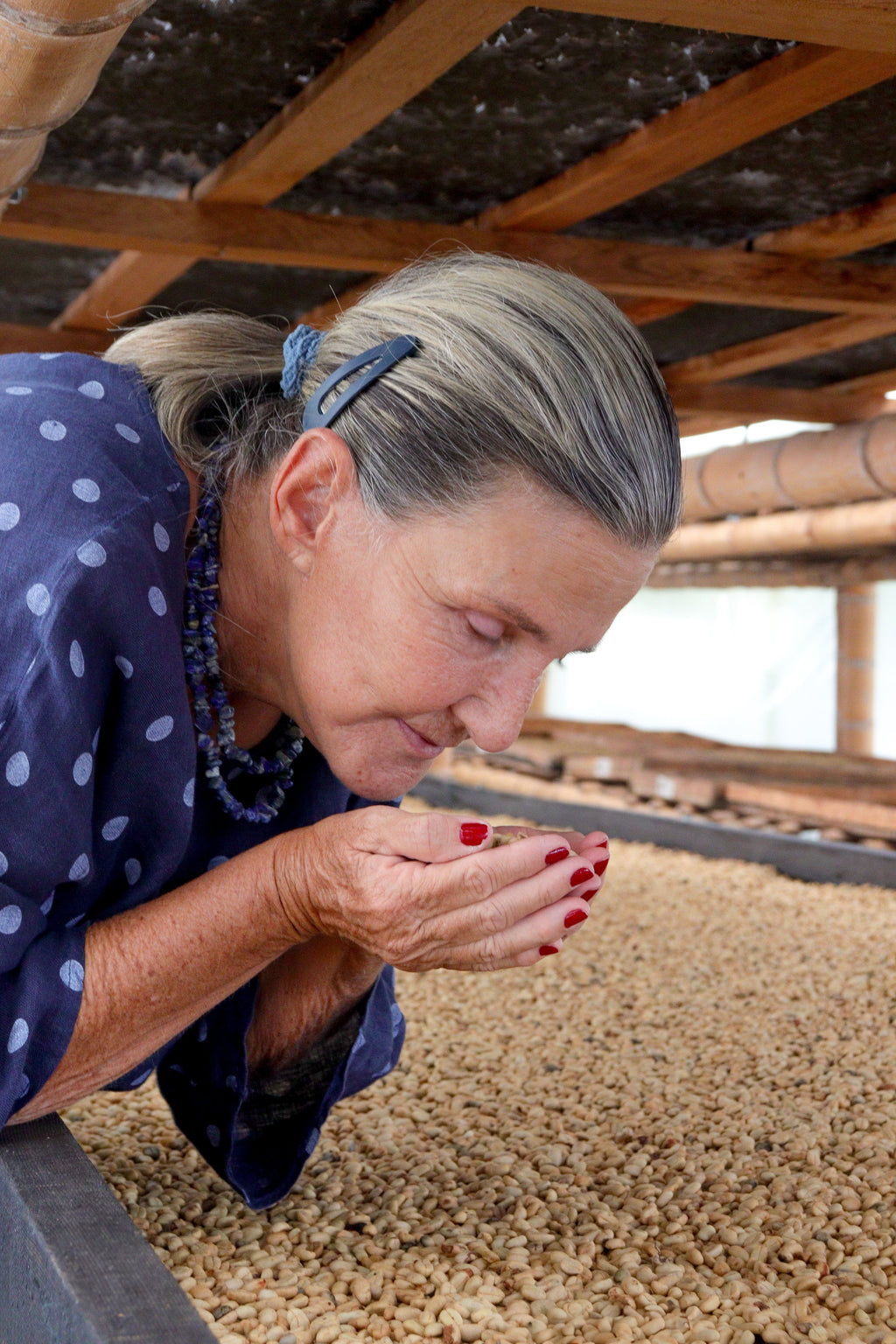 La Leona Pink Bourbon Natural: A Standout Colombian Pink Bourbon