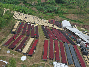 Rwanda | Sholi Cooperative