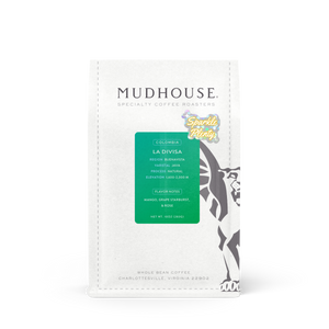 Sparkle Plenty | Colombia | La Divisa Java Natural