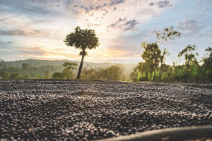 Ethiopia- Danche Station Natural