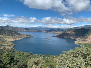 Guatemala- Blue Ayarza